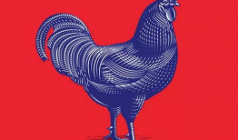 关于鸡的漫画,漫画中的趣味鸡生