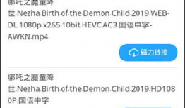 91 户外直播 磁力,探索自然之美，共享直播盛宴